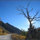 SIBILLINSCHE BERGE V - ITALIEN