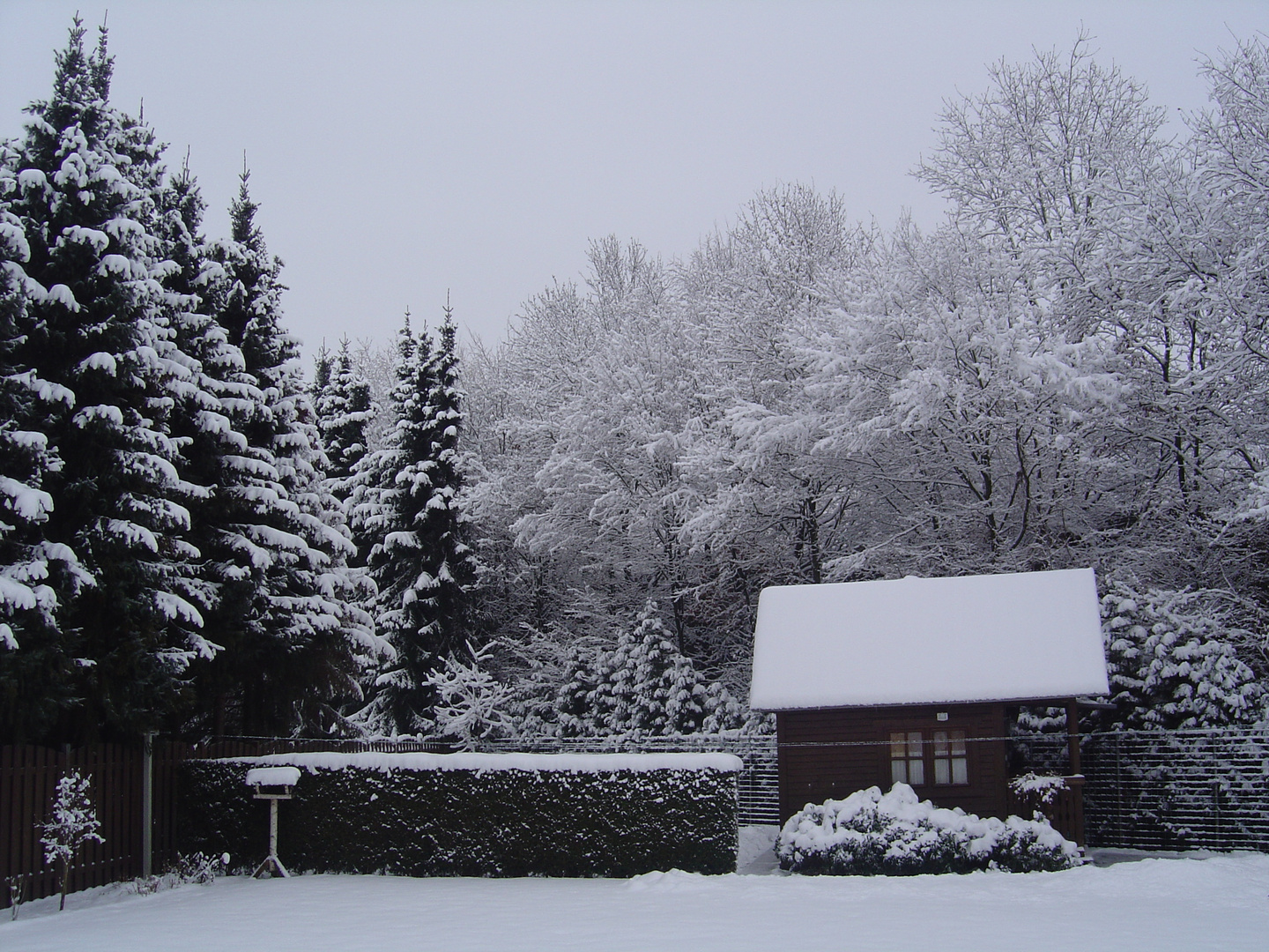 Sibirien???Neee,bei uns im Garten...