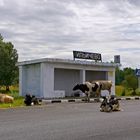Sibirische Bushaltestelle