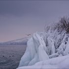 sibirische Kälte am Bodensee