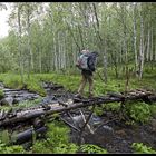 Sibirischer Wanderweg