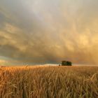 Sich auflösender Regenbogen mit Mammatus-artigen Wolkenstrukturen