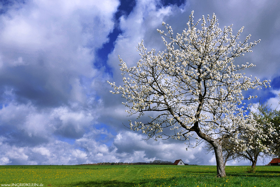 Sich der Natur zuwenden