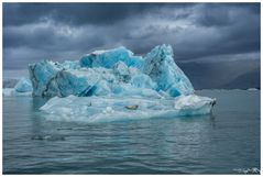 Sich einfach treiben lassen...