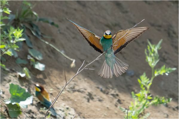 Sich festhalten.....