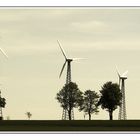 "sich gegen den Wind stellen"