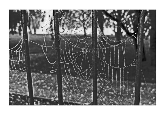     SICH     NICHT     E I N F A N G E N      LASSEN    .   .   .     