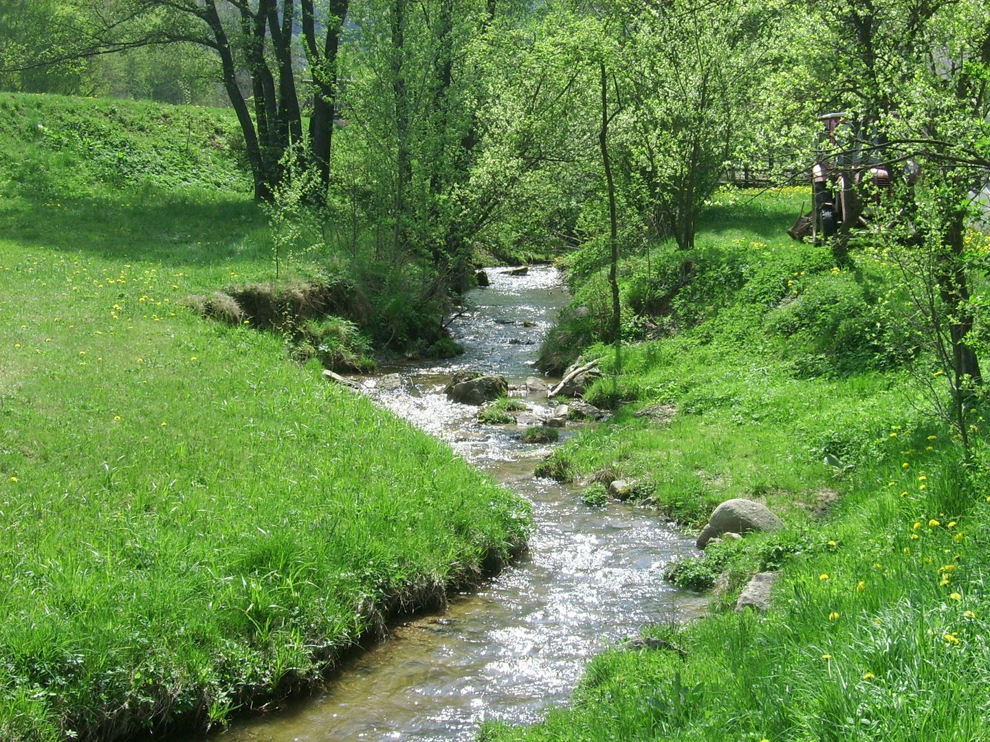 sich schlängelnder Bach