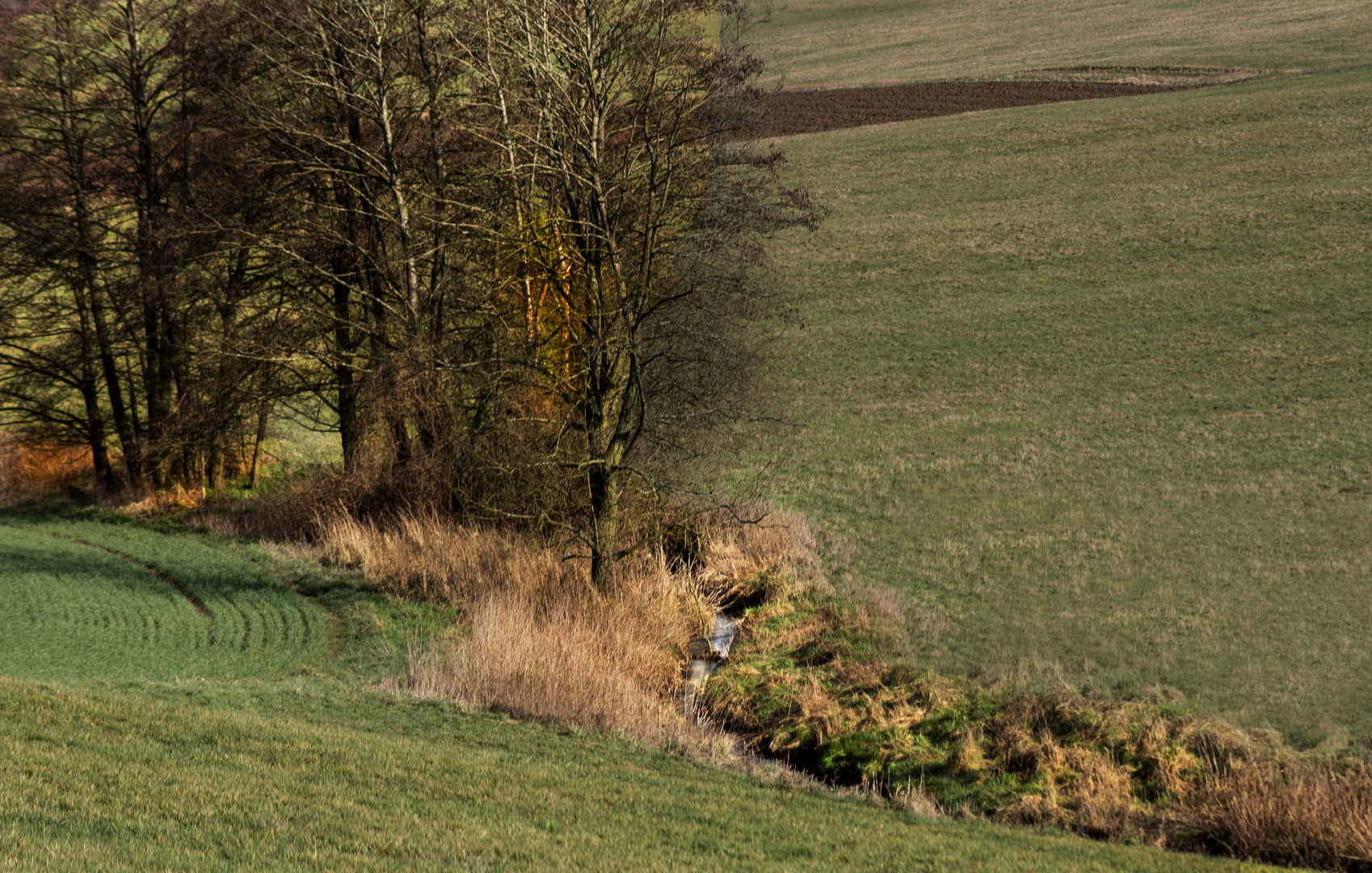 sich schlängelnder Bach-verlauf/ meandering stream