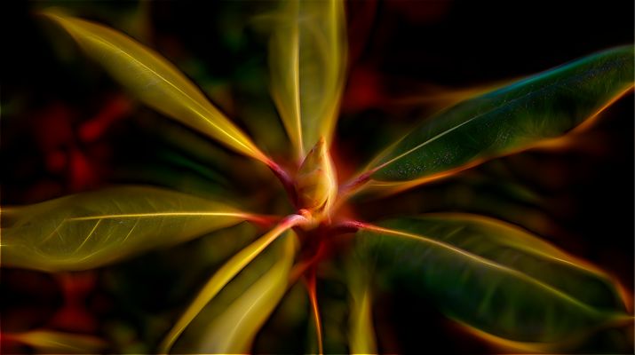 sich seinem inneren strahlen hingeben und strahlen lassen ...