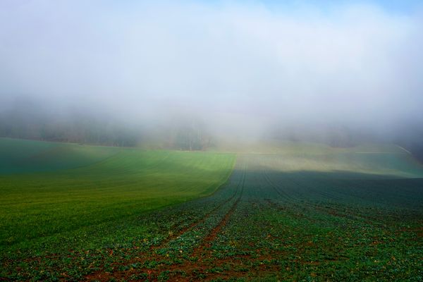 Sich verflüchtigender Nebel...