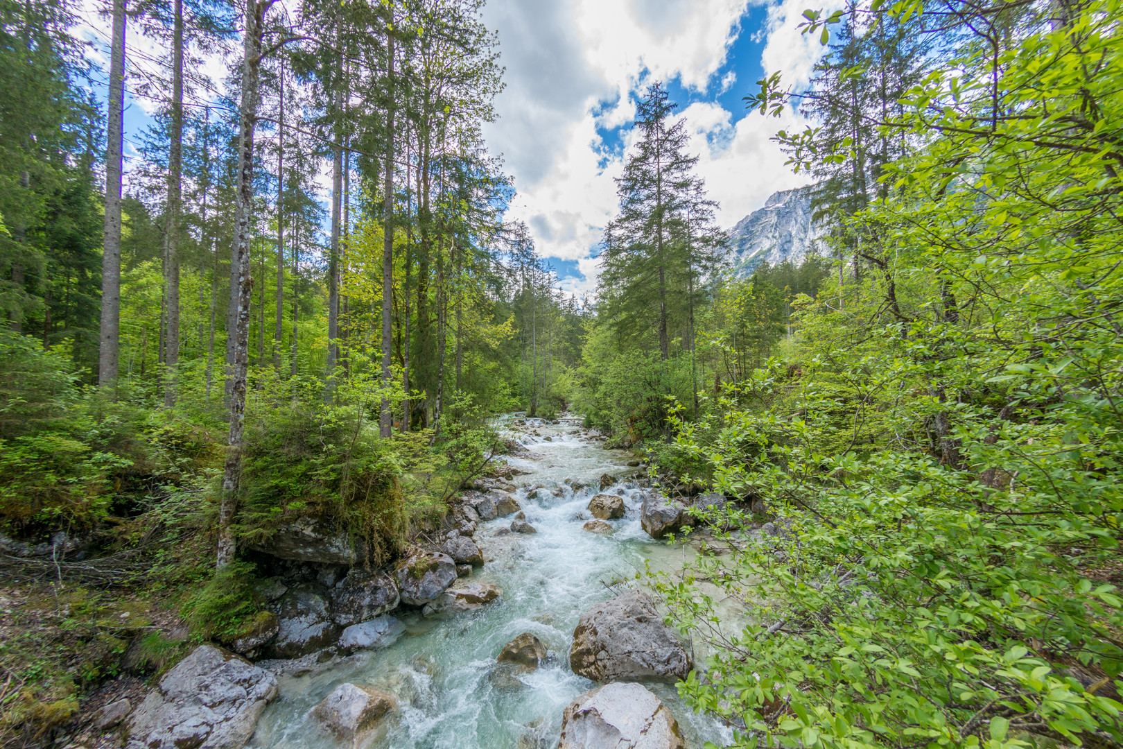 Sich von der wilden Natur verzaubern lassen im Zauberwald Ramsau