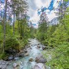 Sich von der wilden Natur verzaubern lassen im Zauberwald Ramsau