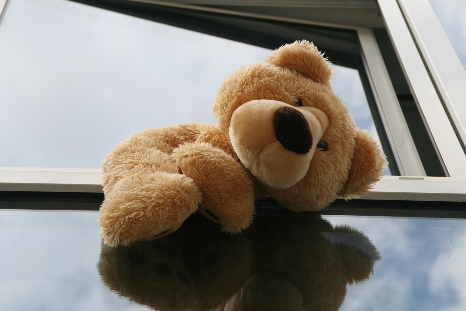 Sich zu weit aus dem Fenster lehnen Foto &amp; Bild quatsch