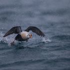 Sicher kein Flugwetter, sondern eher ein Fluchwetter 1