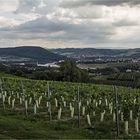 Sicher wissen die meisten meiner sächsischen FC-Freunde, wo das ist....;-)