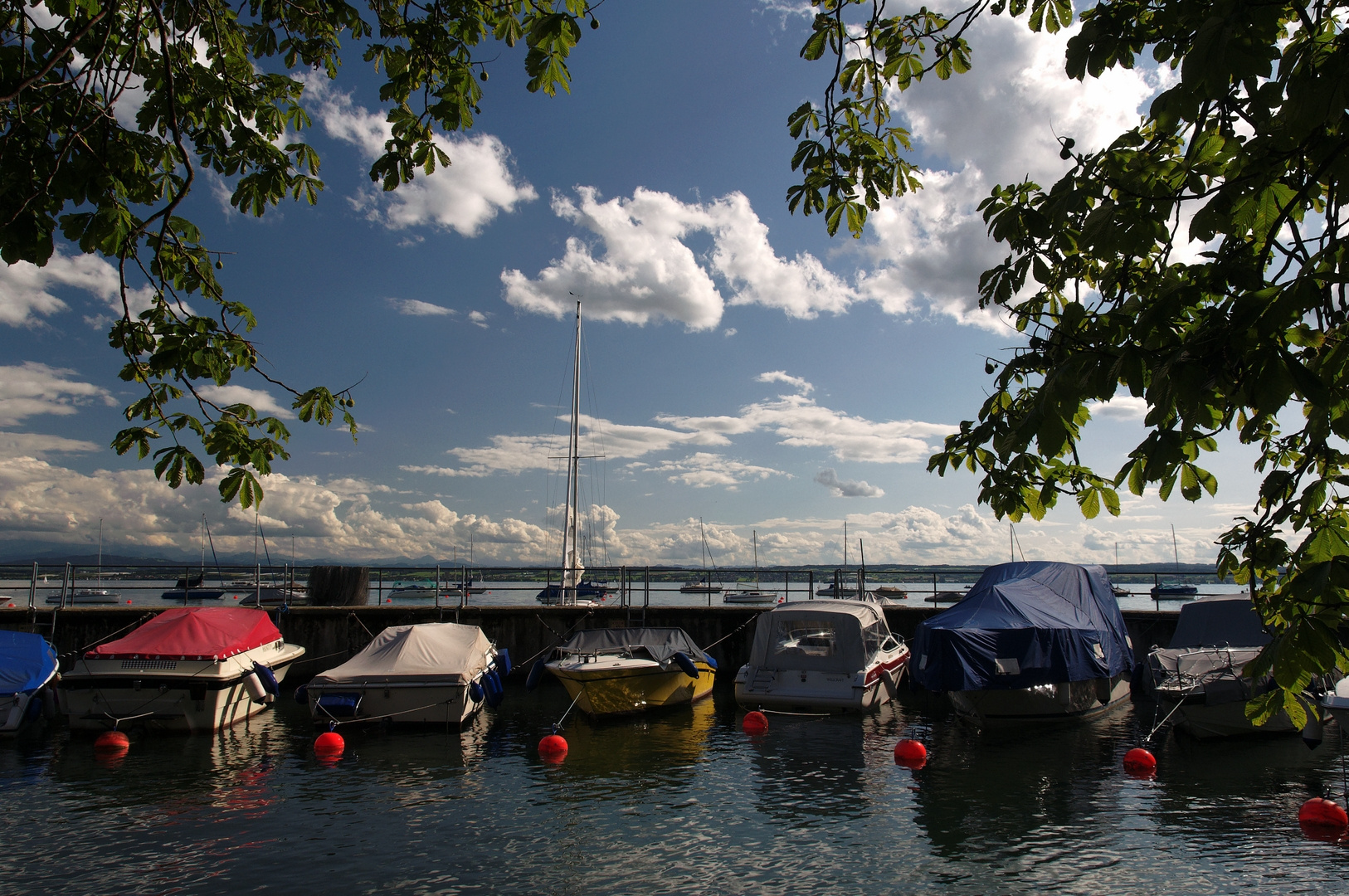 Sicherer Hafen (Bodensee)