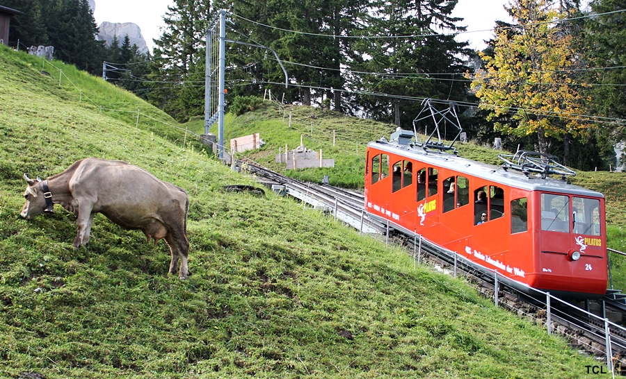 Sicherer Halt