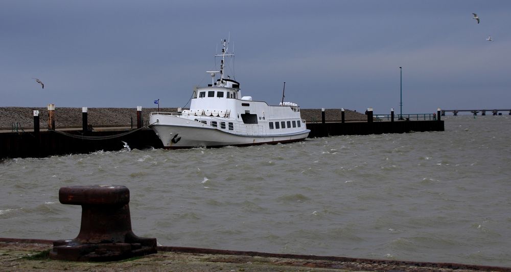 Sicherheit im Hafen