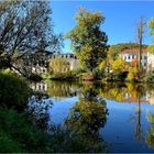 sicherlich der letzte schöne herbsttag ...