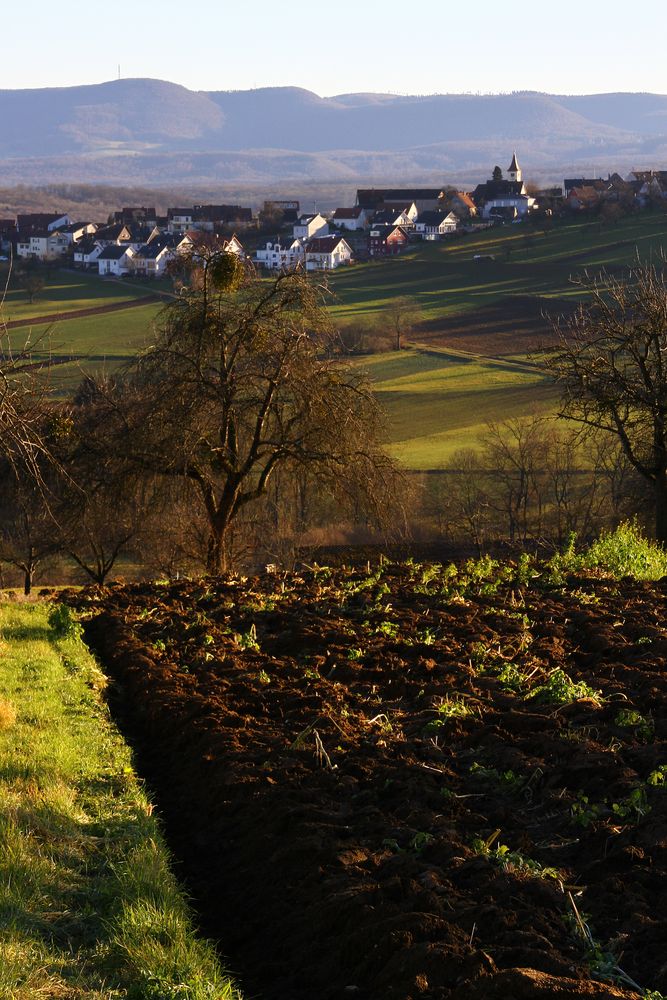 Sicht auf Altenriet