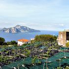 Sicht auf Capri