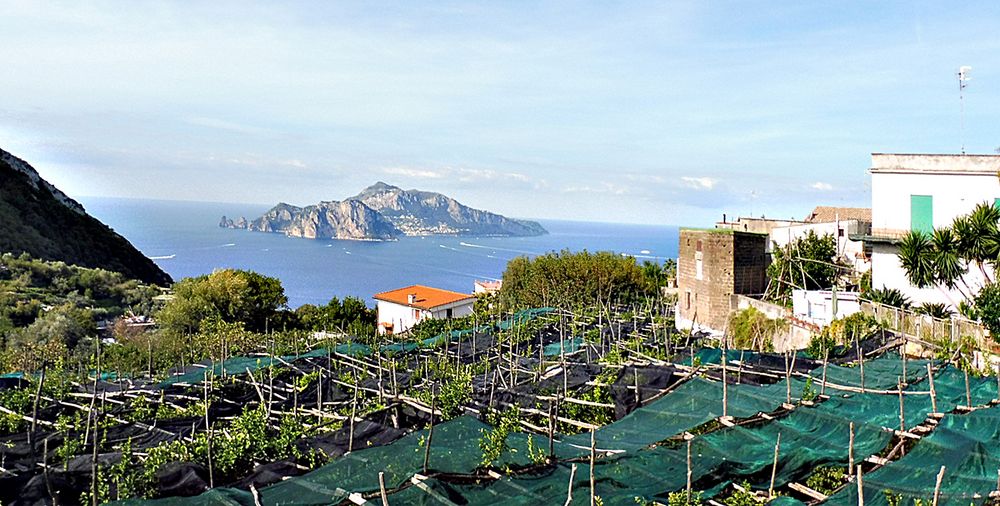 Sicht auf Capri