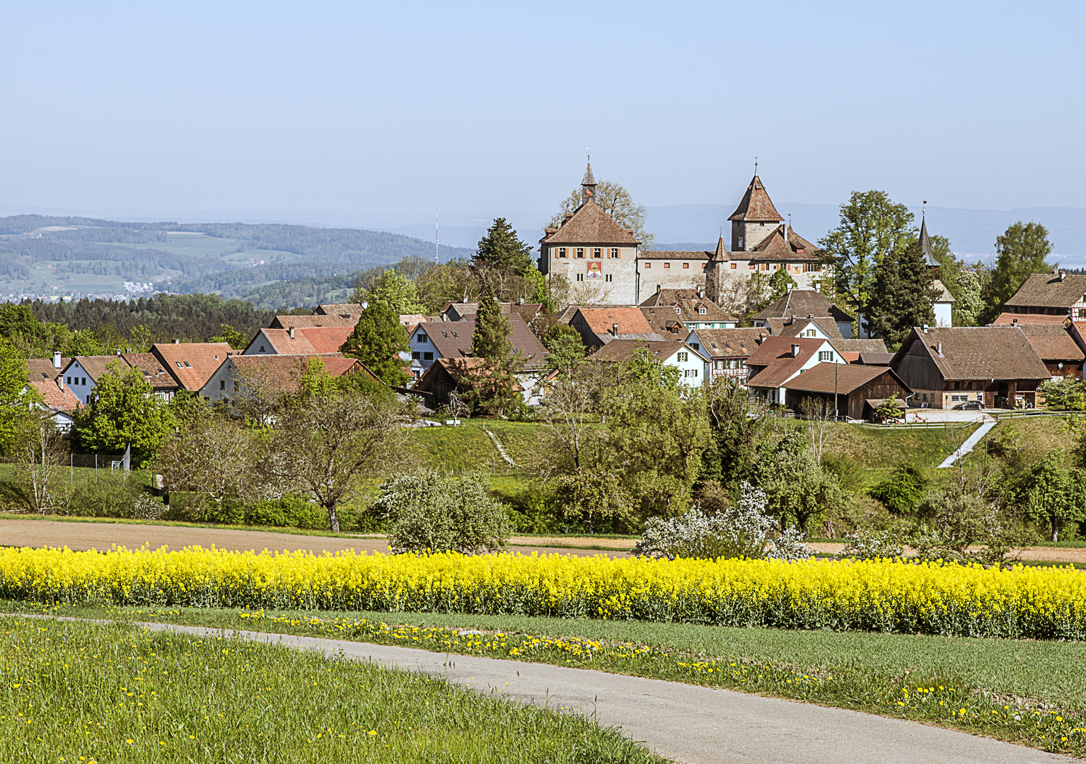 Sicht auf die Kyburg