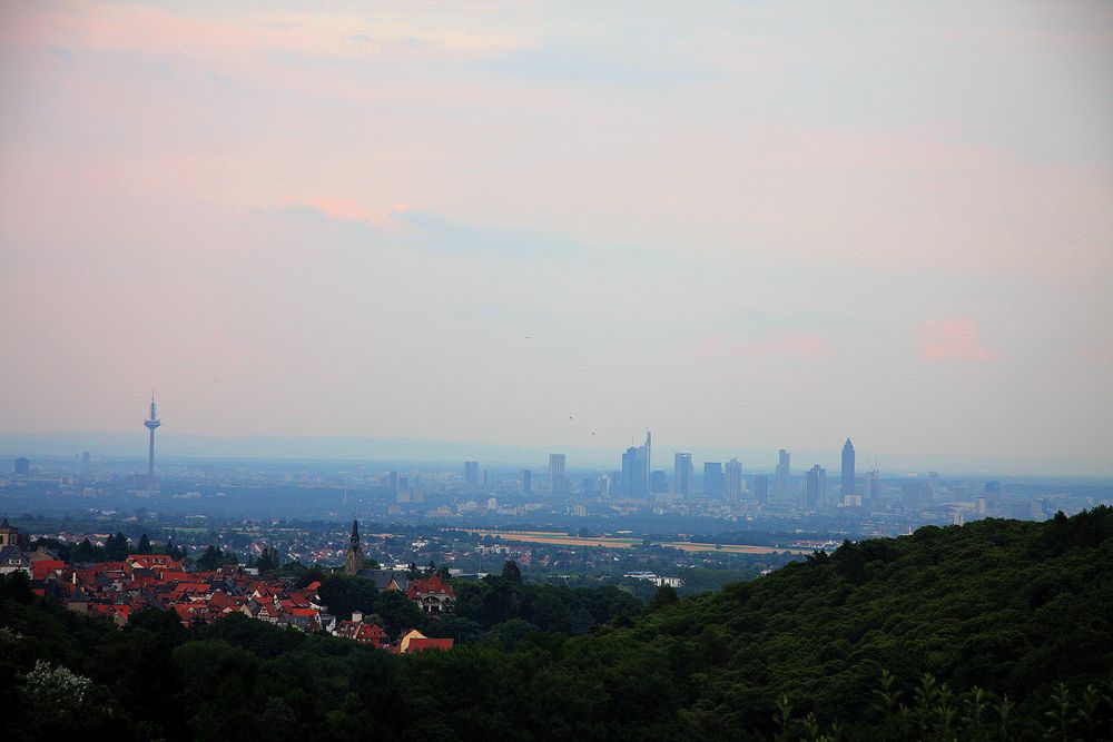 Sicht auf Frankfurt (Main) von Fruchtmann 