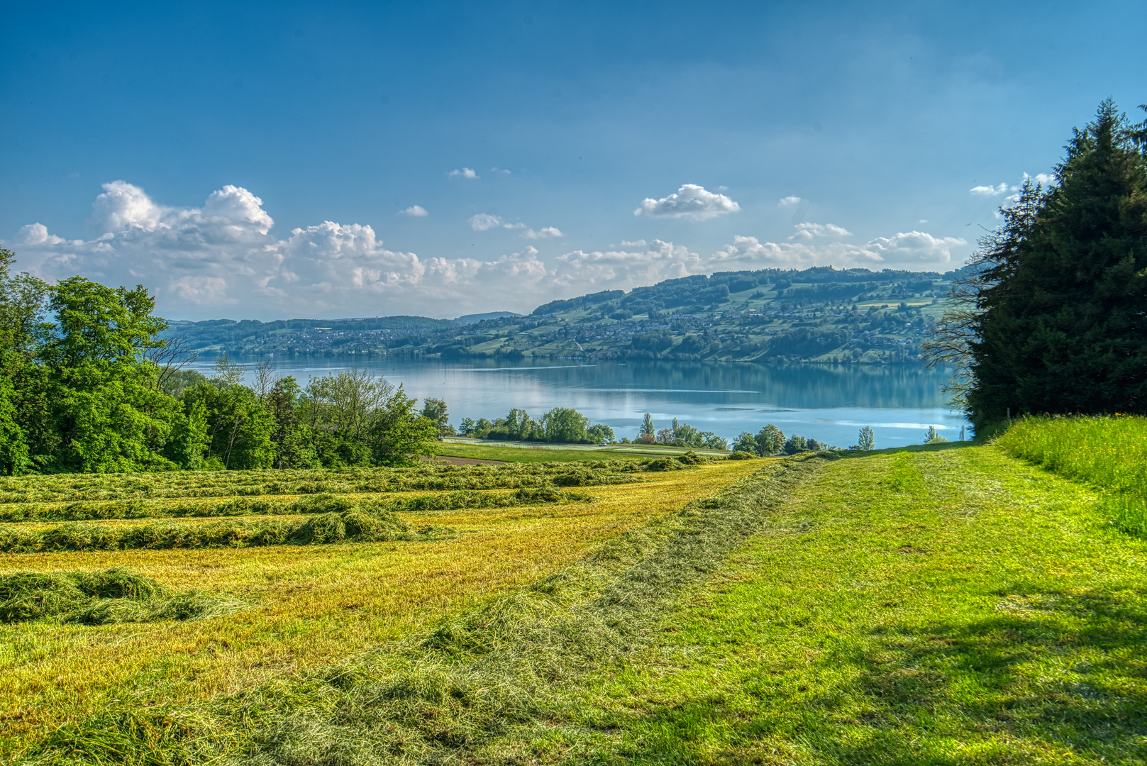 Sicht auf Hallwiler See