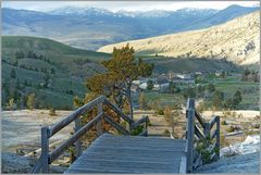 Sicht auf Mammoth hot springs Hotel...