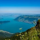 Sicht auf Zugersee