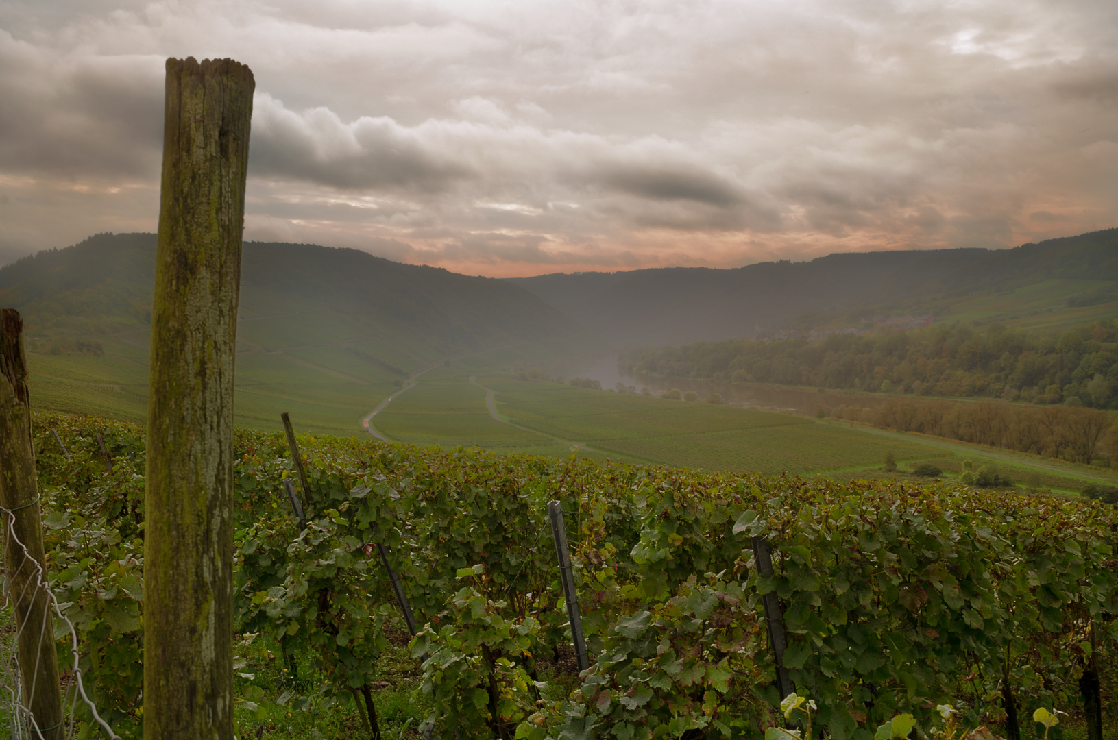 Sicht des Parkplatzes von der Marienburg in Zell