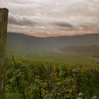 Sicht des Parkplatzes von der Marienburg in Zell