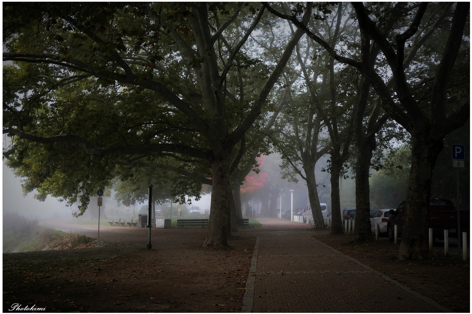 Sicht im Nebel