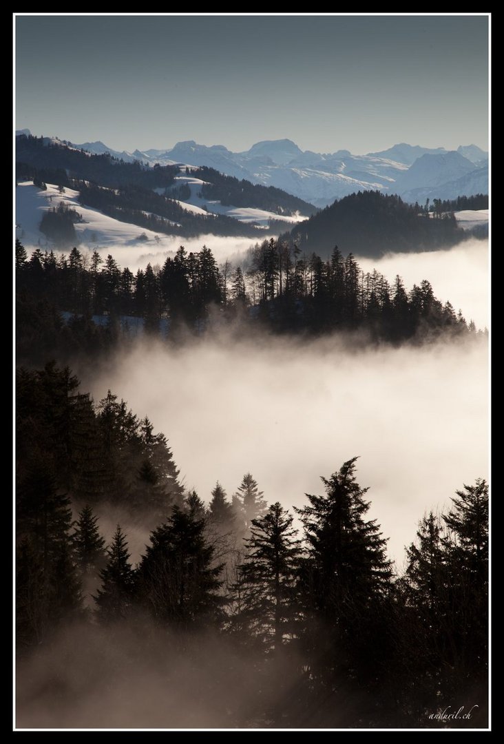 Sicht vom Heiletsegg (beim Hörnli)