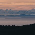 Sicht vom Hohneck Richtung Schweizer Alpen