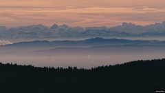 Sicht vom Hohneck Richtung Schweizer Alpen