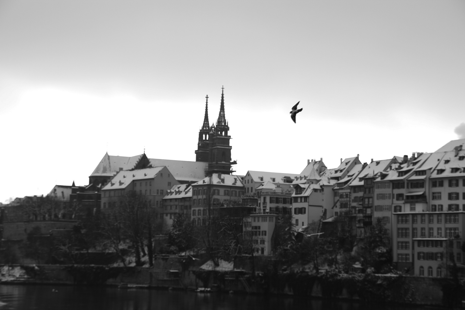 Sicht von der Mittlern Brücke auf das Basler Münster