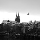 Sicht von der Mittlern Brücke auf das Basler Münster