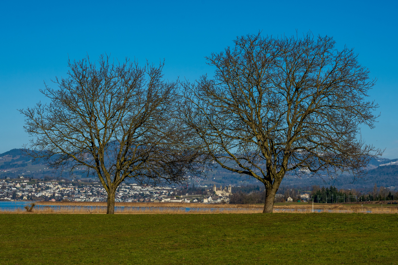 Sicht von Pfäffikon über den See nach Rapperswil