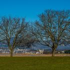 Sicht von Pfäffikon über den See nach Rapperswil