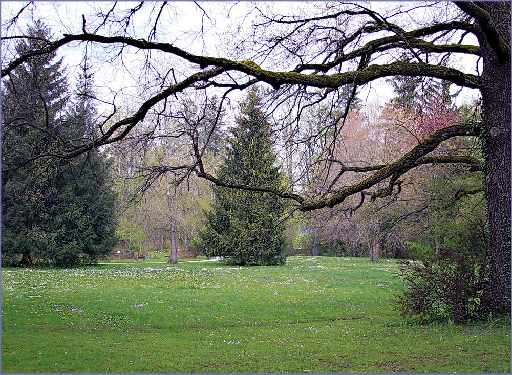 Sicht zu dem Park   -Vista al parque 