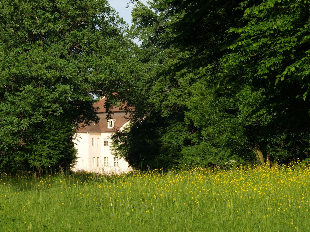 Sichtachse auf das Schloß Branitz