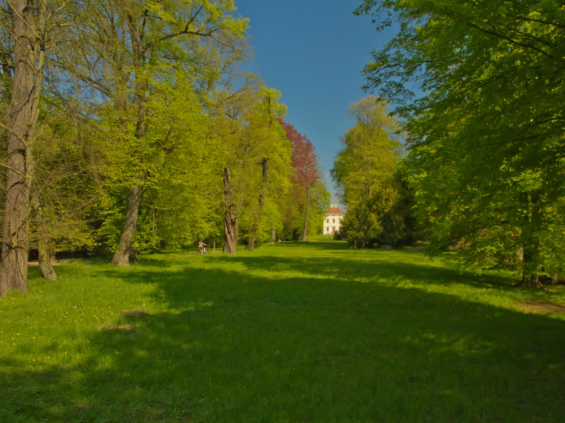 Sichtachse zum Luisium