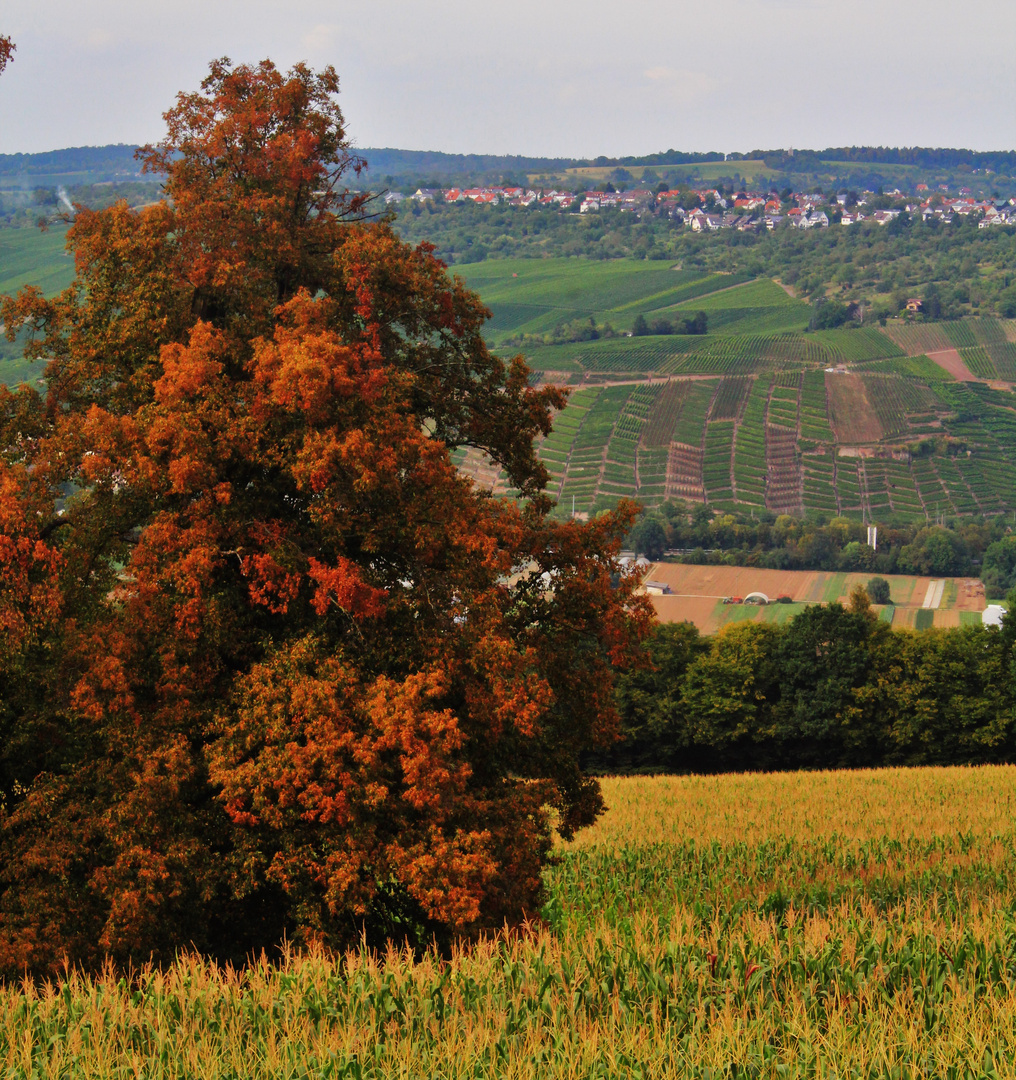 Sichtbar der Herbst