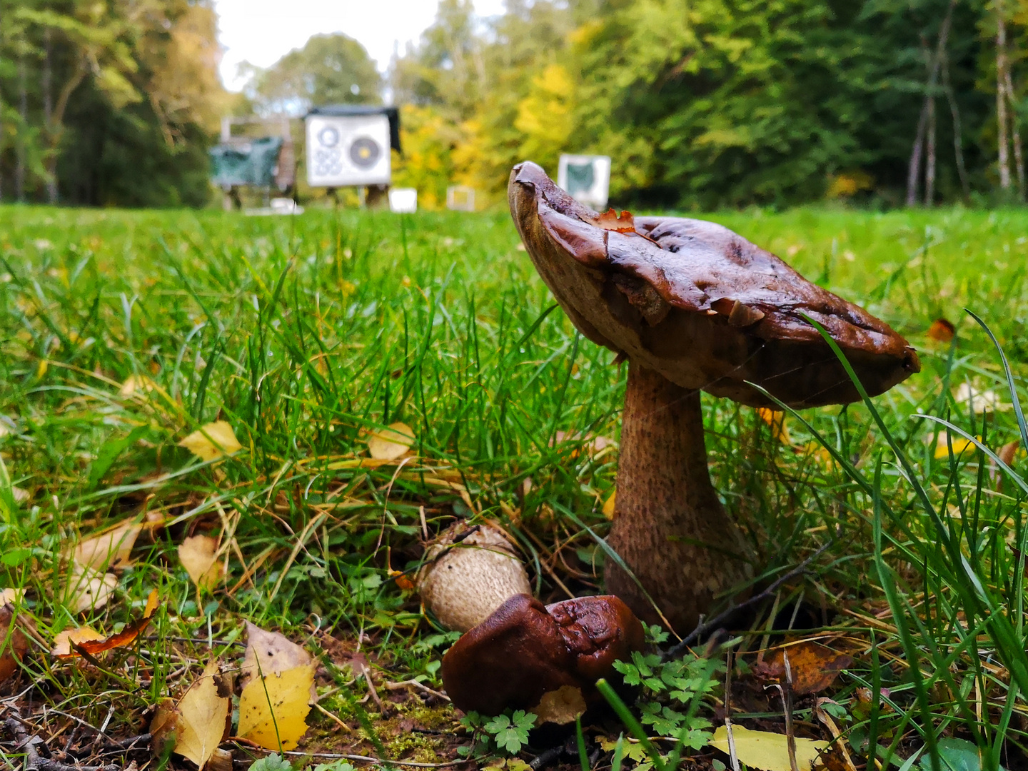 Sichtbare Naturwunder beim Bogensport