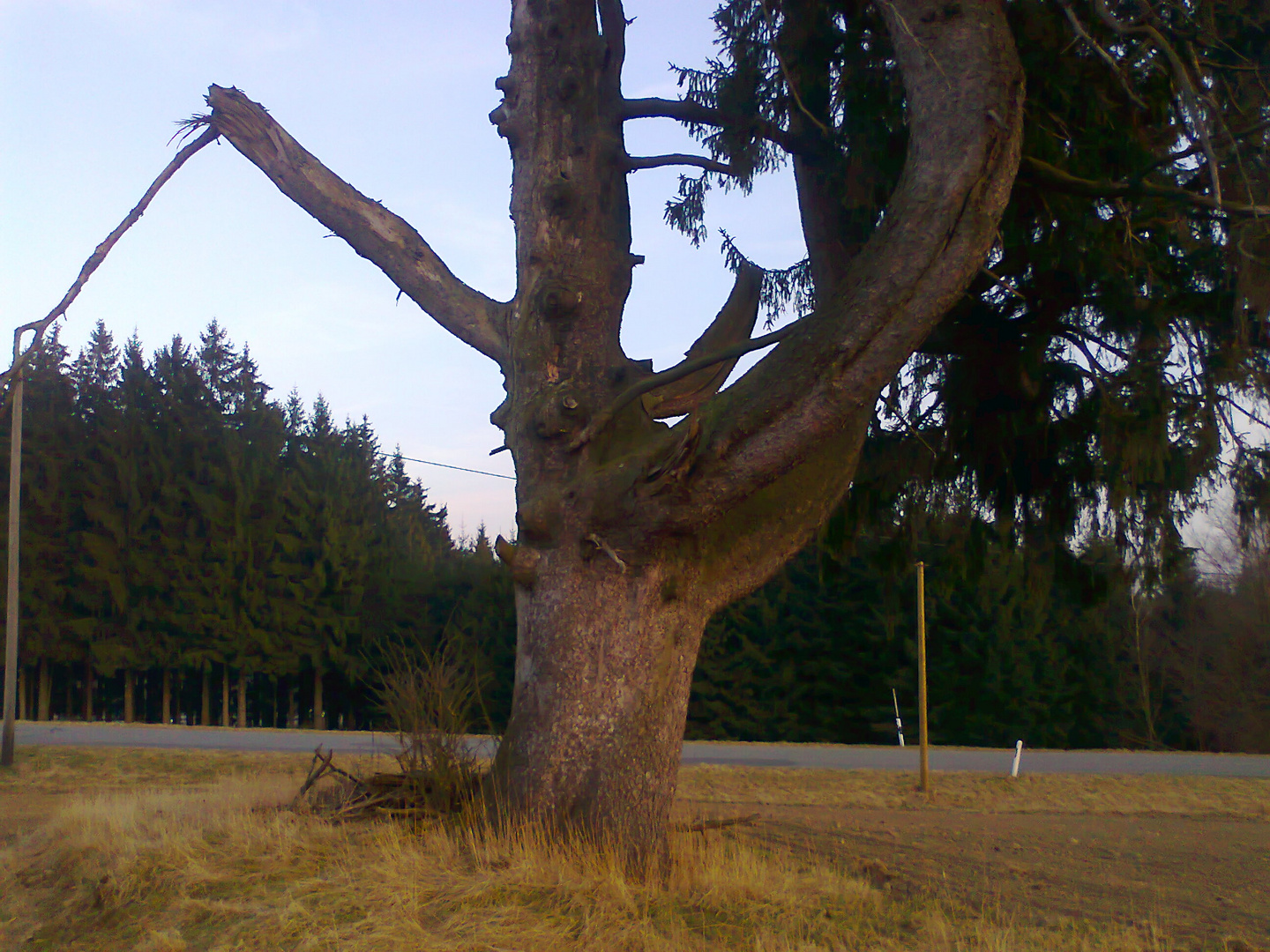 Sichtbarer Kraftverlauf