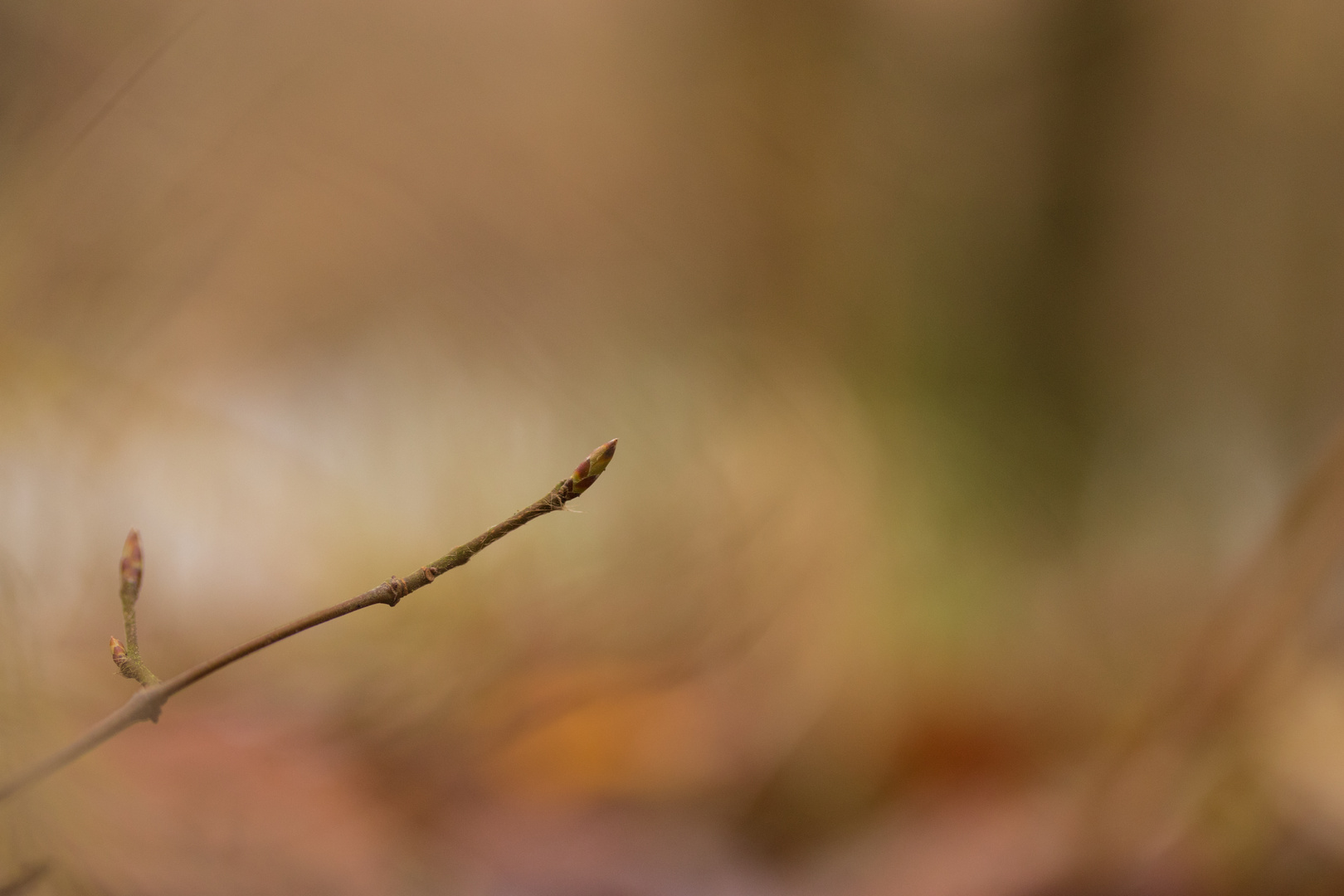 Sichtbarkeit Foto & Bild | spezial, makro, sonne Bilder auf fotocommunity