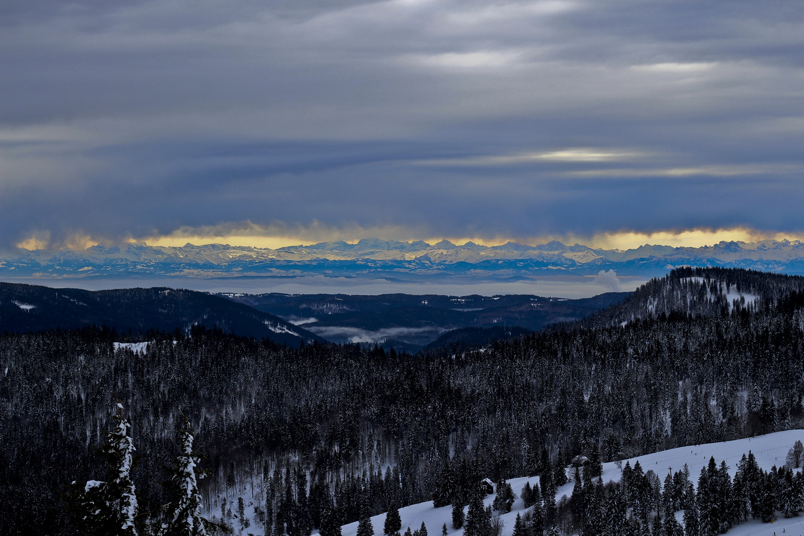 Sichtfenster auf die Alpen vom Feldberg